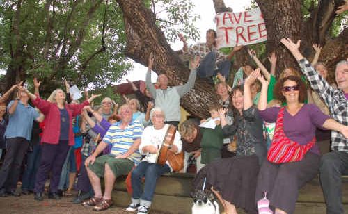 Save our trees: Bellingen residents rally around the camphor laurels in Church Street. Save our trees: Bellingen residents rally around the camphor laurels in Church Street.